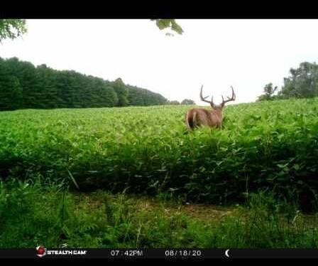 0 McKinney Road Piketon, OH 45661 - Photo 3 of 27 4124683429617211994
