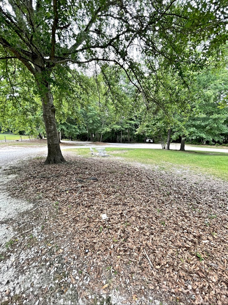 1821 Powell Road Augusta, GA 30909 - Photo 23 of 51 Driveway