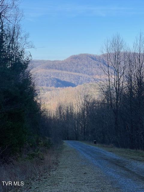2 Luttrell Street Erwin, TN 37650 - Photo 1 of 7 IMG_3737