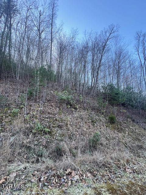 2 Luttrell Street Erwin, TN 37650 - Photo 3 of 7 IMG_3738