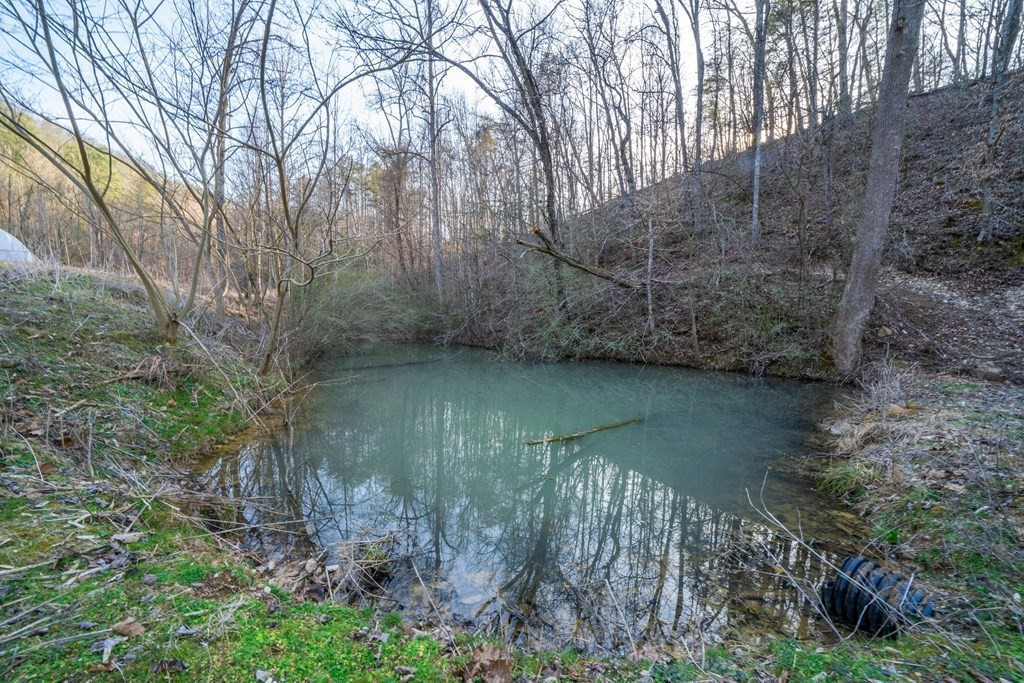 2233 Nations Road Newport, TN 37821 - Photo 67 of 68 Gallery Image 67