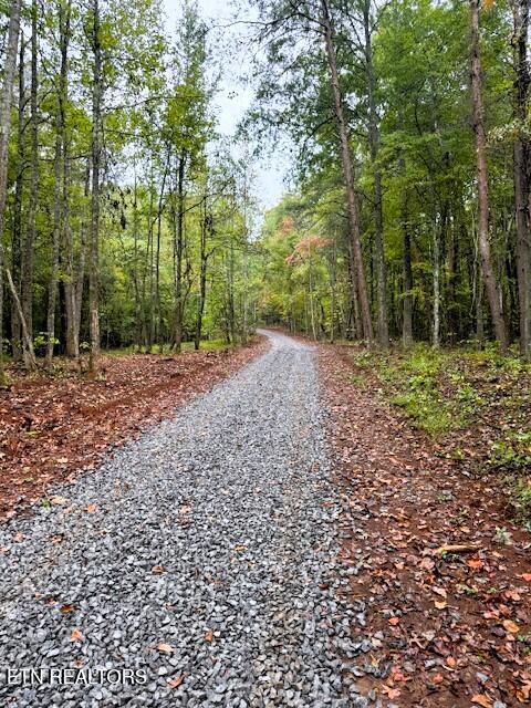 7 Pleasant Hill Road Ten Mile, TN 37880 - Photo 10 of 27 PH 7 driveway