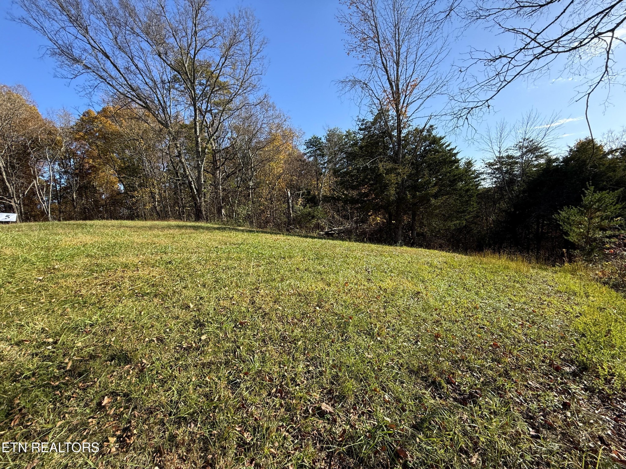 5 Topaz Way Newport, TN 37821 - Photo 7 of 12 Gallery Image 7