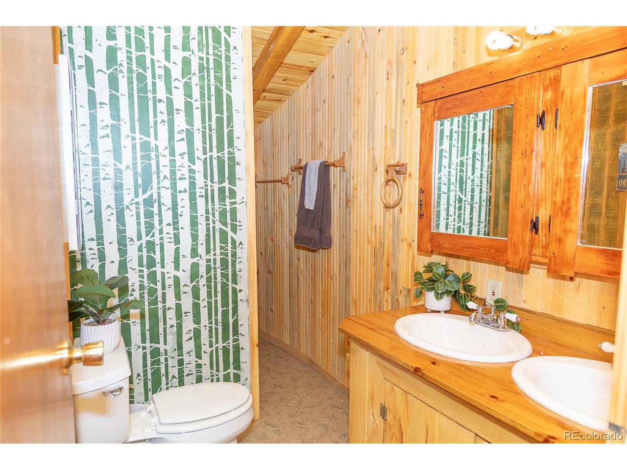 4100 Usfs Road, Unit 460 Creede, CO 81130 - Photo 12 of 26