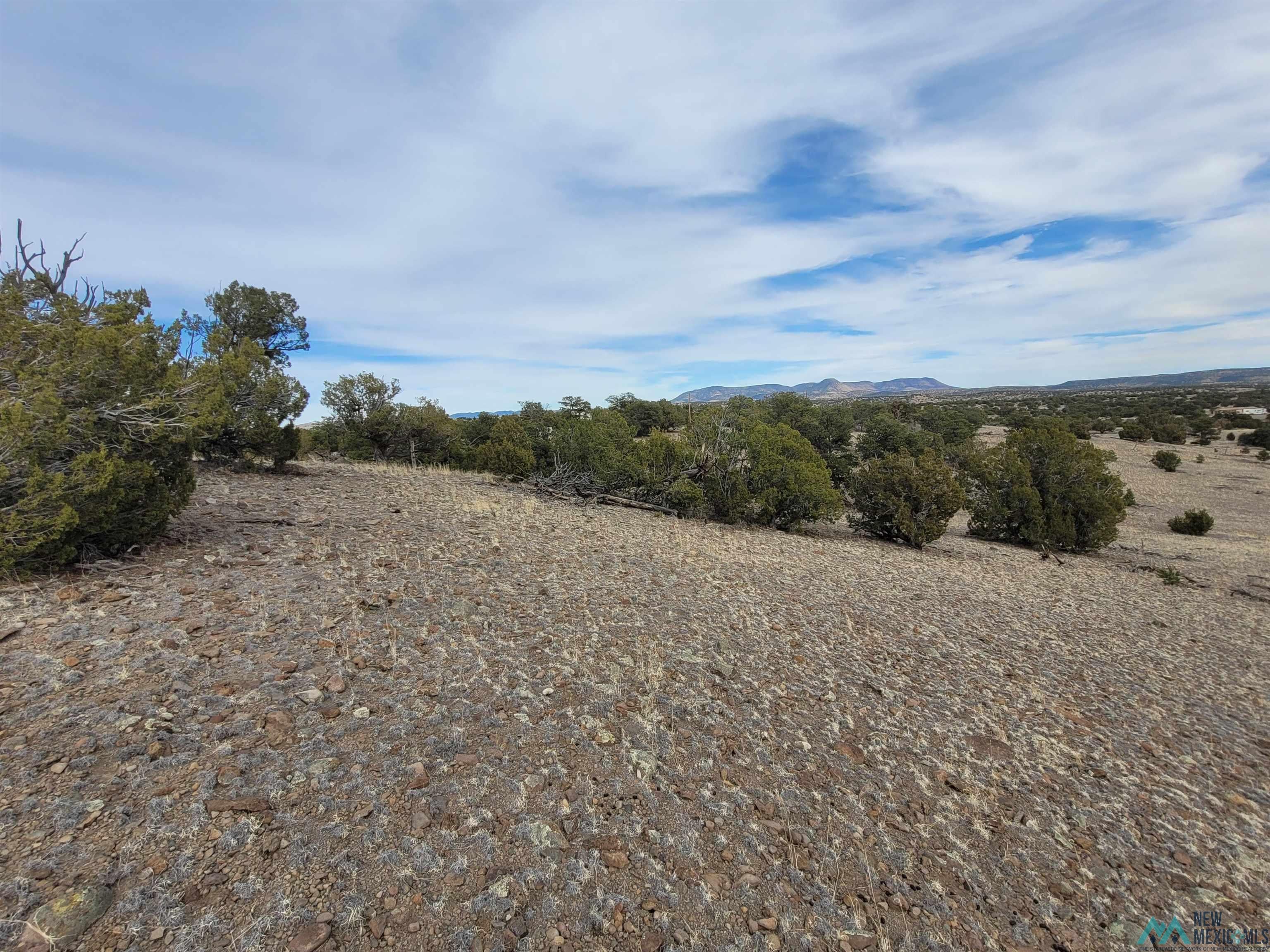 47 Cougar Run Datil, NM 87821 - Photo 16 of 38 Gallery Image 16