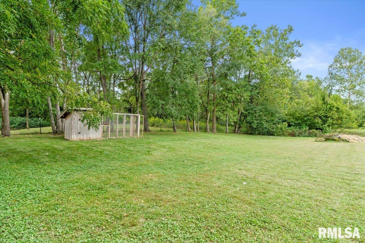 19791 Hunt Road Petersburg, IL 62675 - Photo 47 of 56 Gallery Image 47