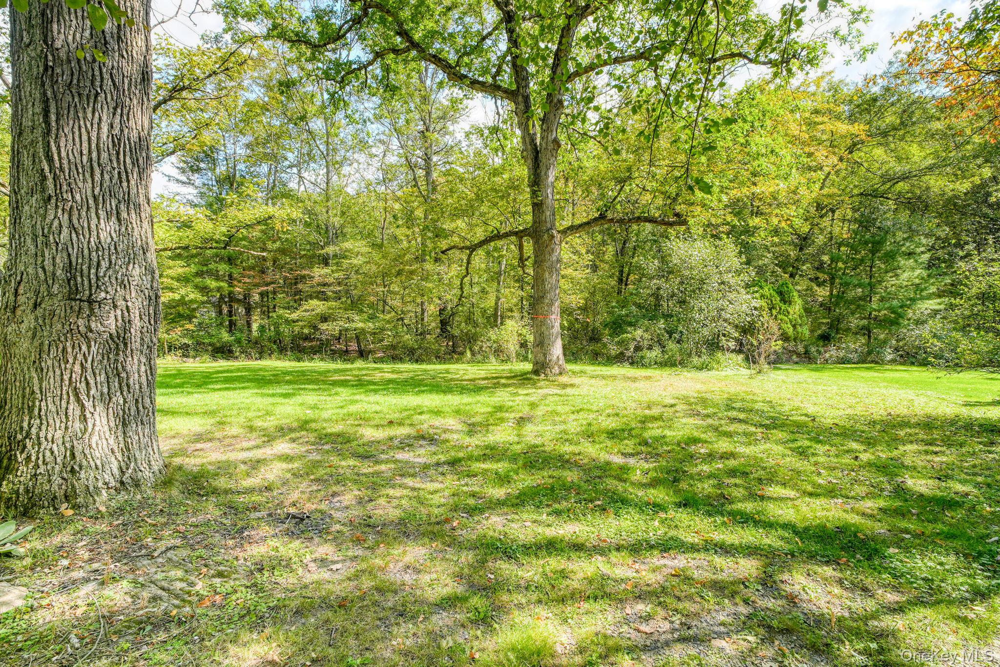 54 Lime Kiln Road Port Jervis, NY 12771 - Photo 31 of 34 a view of outdoor space with a garden