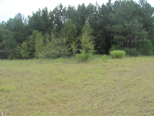 2065 North St Pauls Church Road Sumter, SC 29154 - Photo 1 of 1 Gallery Image 1