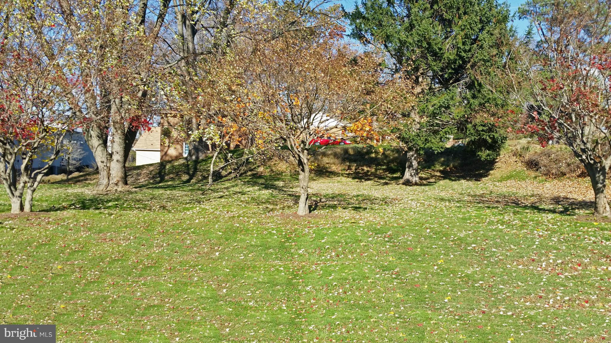 9942 Frederick Road Ellicott City, MD 21042 - Photo 8 of 9 Yard