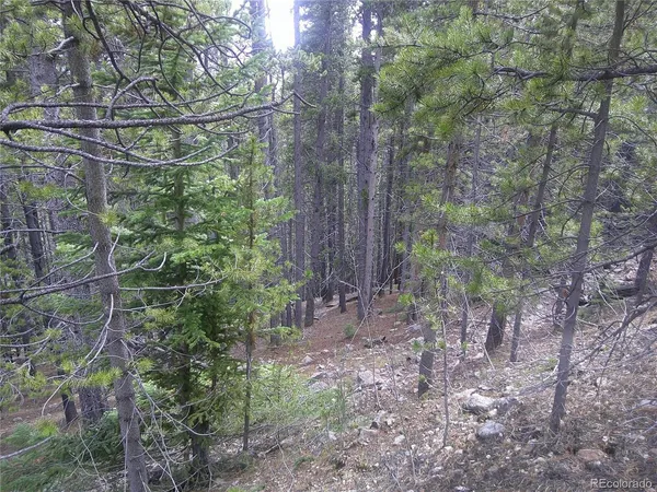 $23,500 | 440 Hillside Road, Idaho Springs, CO 80452
