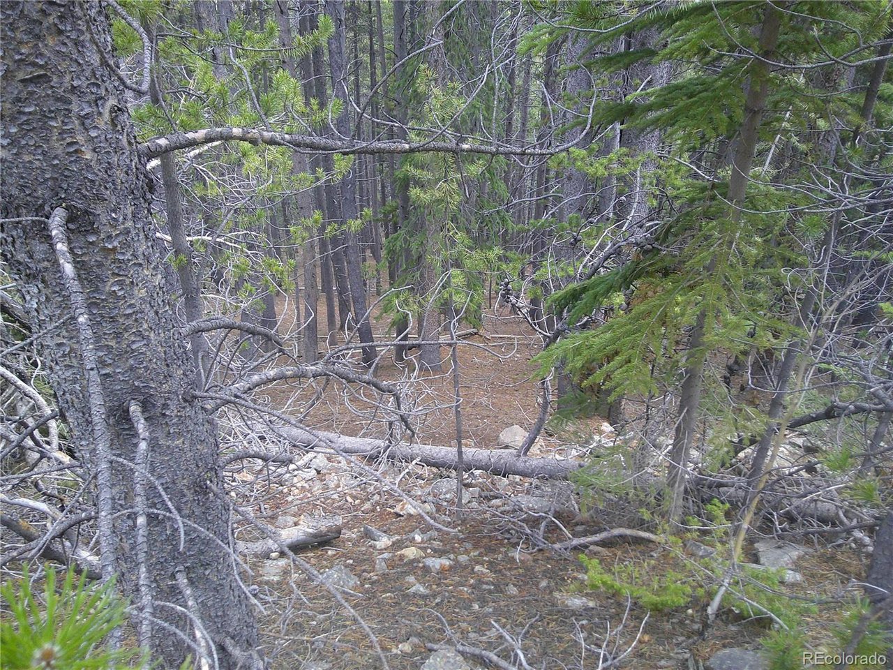 440 Hillside Road Idaho Springs, CO 80452 - Photo 2 of 4