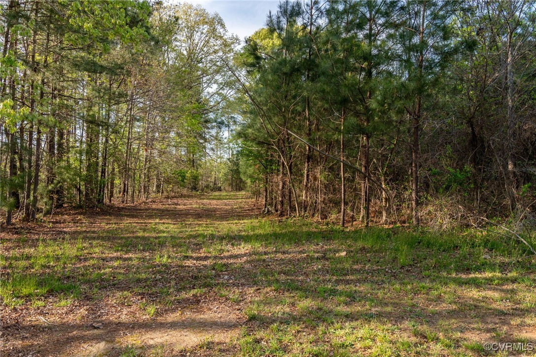 7902 Colemans Lake Road Ford, VA 23850 - Photo 11 of 38 Gallery Image 11