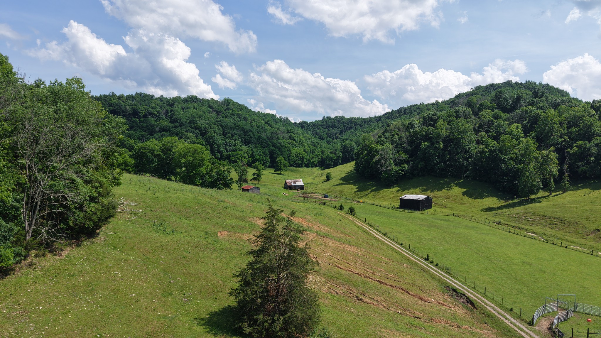 1358 Dry Branch Road Dixon Springs, TN 37057 - Photo 37 of 98