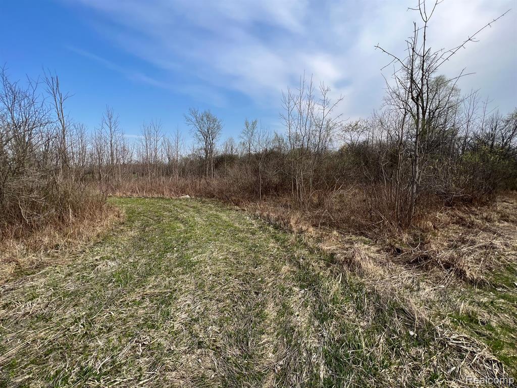 28 28 Mile Road New Haven, MI 48048 - Photo 15 of 20