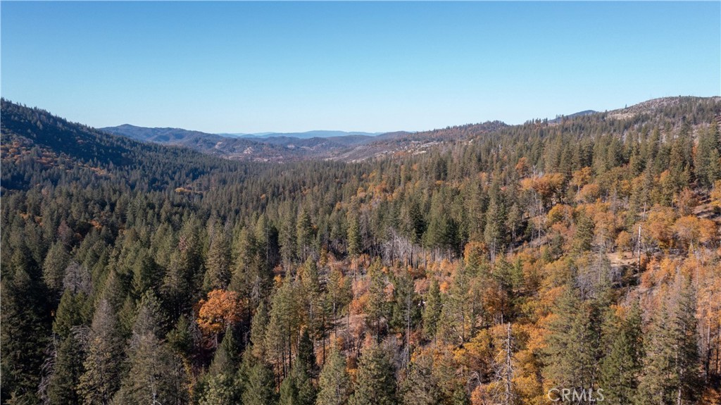 10981 Gifford Springs Road Cobb, CA 95426 - Photo 7 of 7