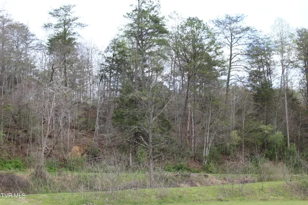 $6,500 | 1 Reeds Creek Road, Unit LOTS 3 & 4, Keokee, VA 24265
