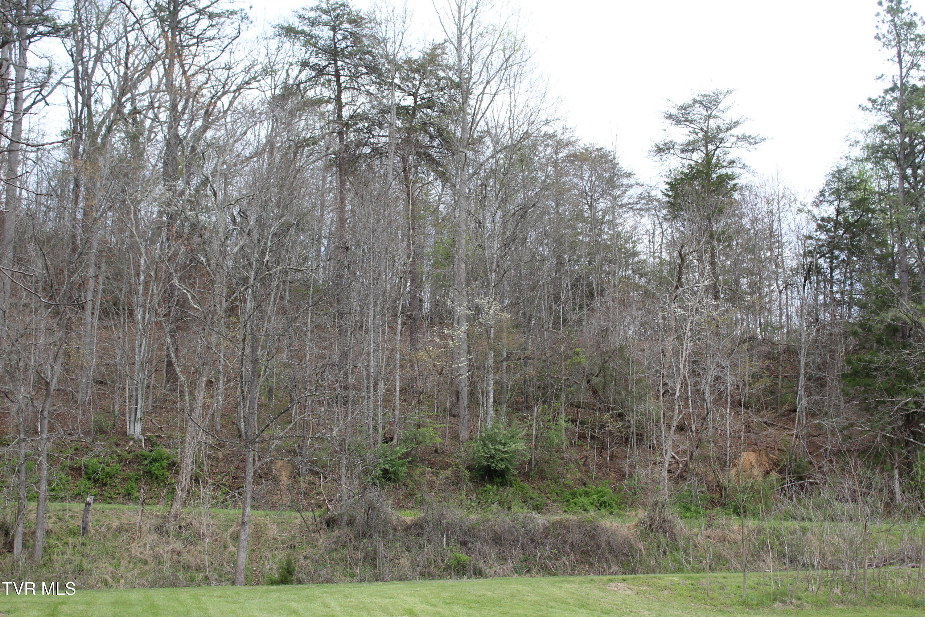 1 Reeds Creek Road, Unit LOTS 3 & 4 Keokee, VA 24265 - Photo 4 of 5 IMG_6720