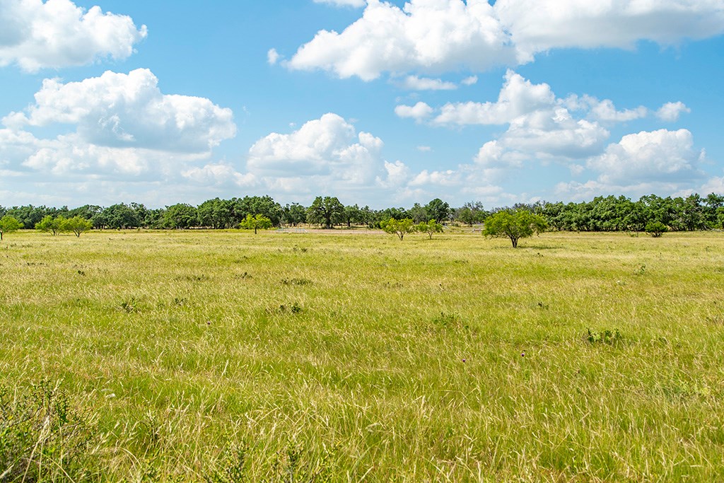 21688 Fm 2093, Unit 7 Harper, TX 78631 - Photo 3 of 7 a view of an ocean