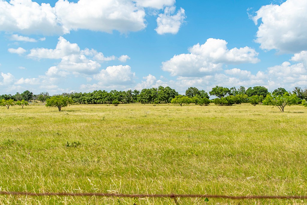 21688 Fm 2093, Unit 7 Harper, TX 78631 - Photo 4 of 7 a view of an ocean