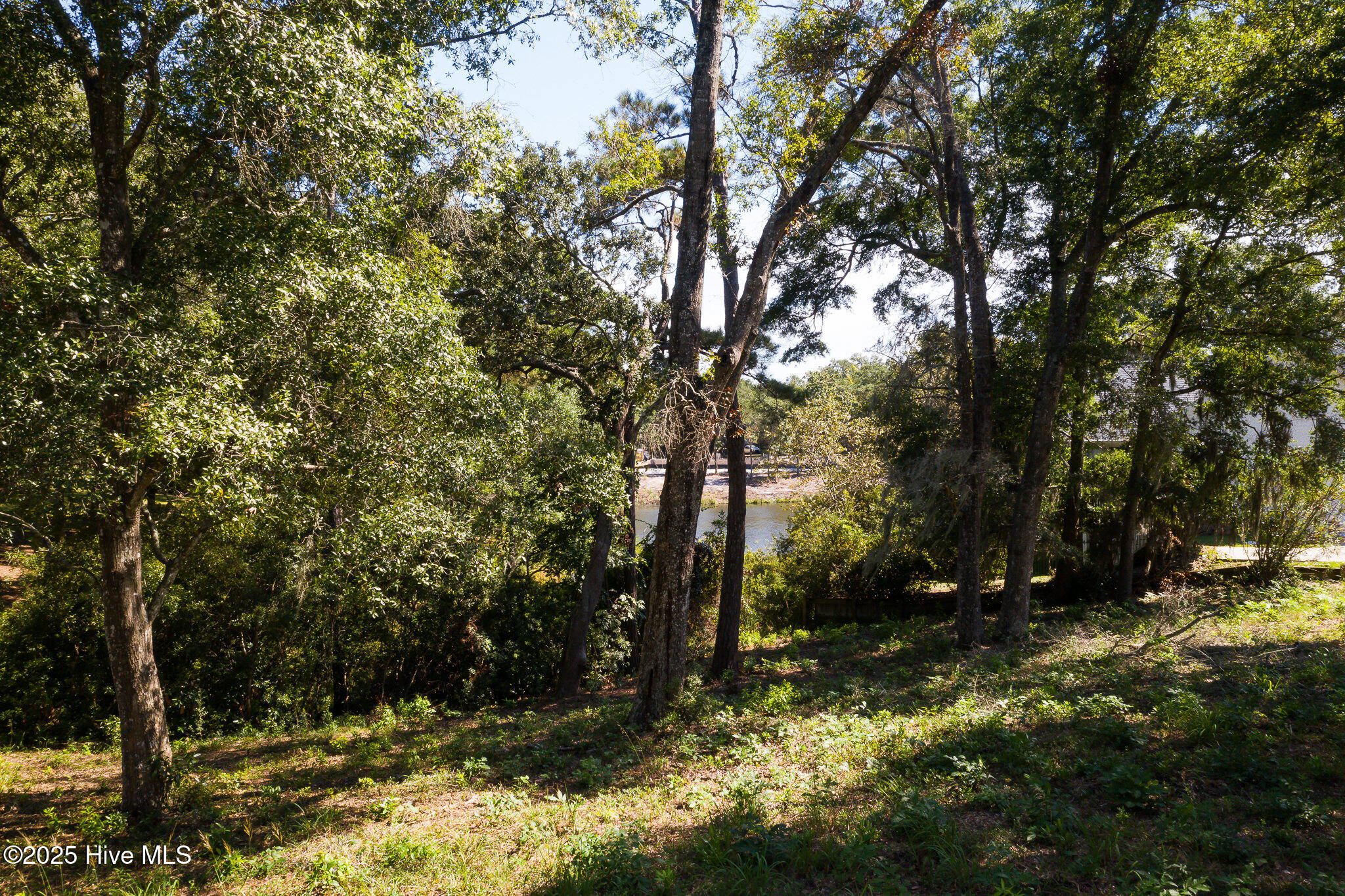 1884 Russell Hewett Road Southwest Supply, NC 28462 - Photo 11 of 31 1884_Russellhewett-5