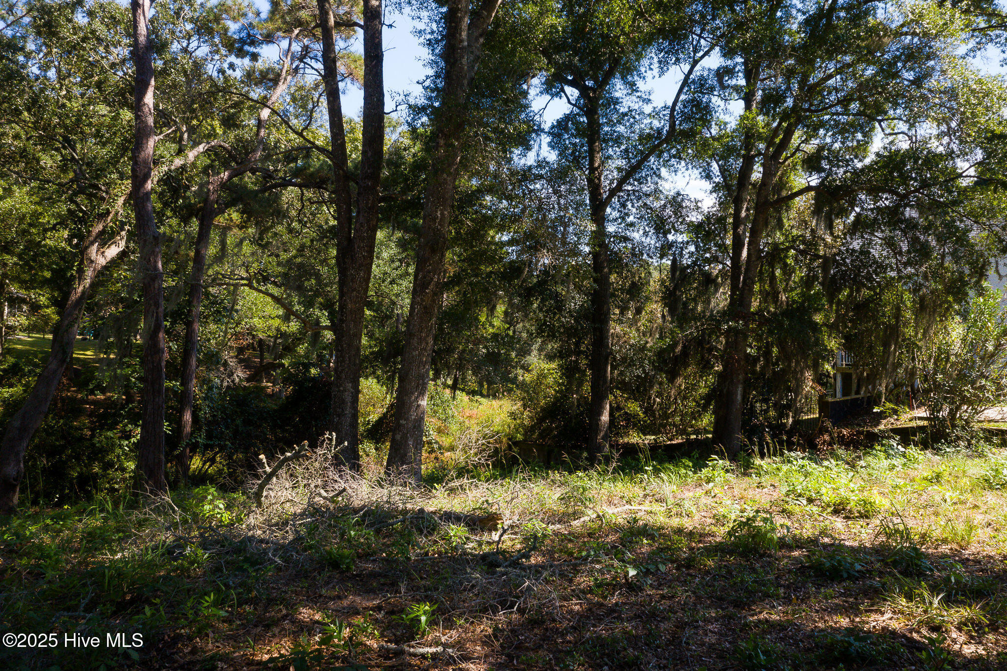 1884 Russell Hewett Road Southwest Supply, NC 28462 - Photo 12 of 31 1884_Russellhewett-6