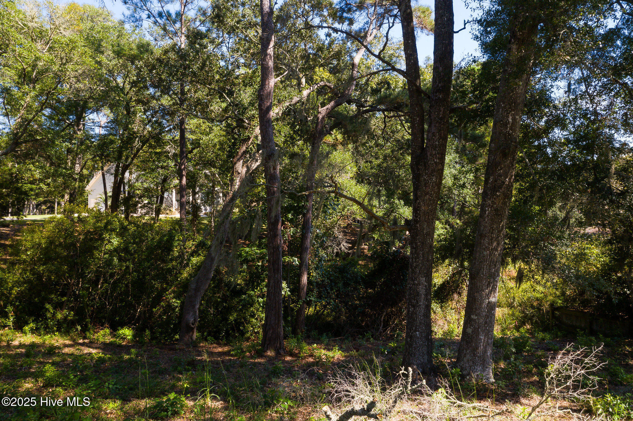 1884 Russell Hewett Road Southwest Supply, NC 28462 - Photo 7 of 31 1884_Russellhewett-8