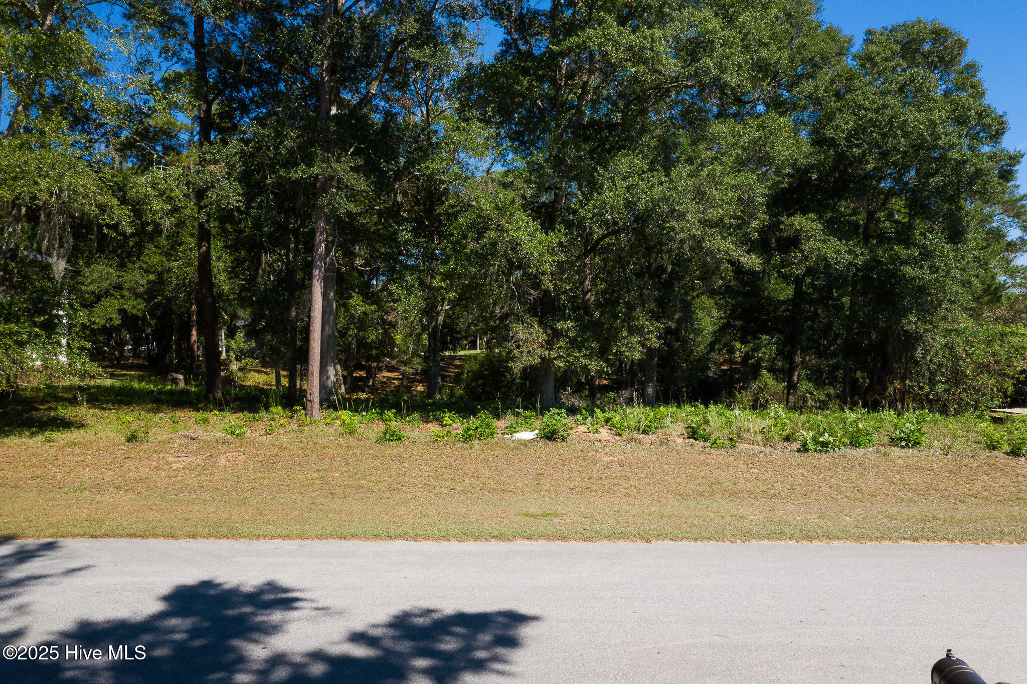 1884 Russell Hewett Road Southwest Supply, NC 28462 - Photo 8 of 31 1884_Russellhewett-2