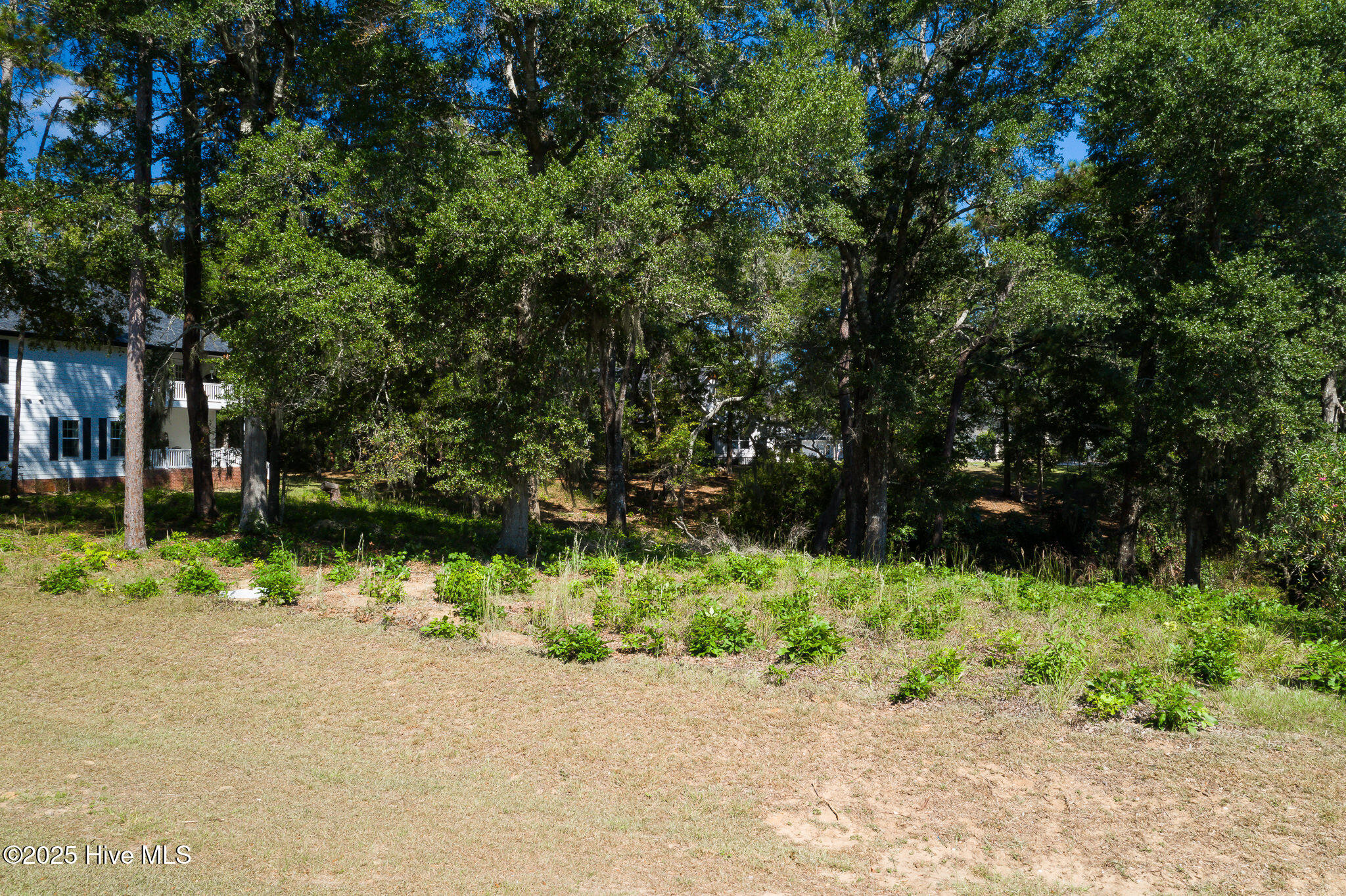 1884 Russell Hewett Road Southwest Supply, NC 28462 - Photo 9 of 31 1884_Russellhewett-3