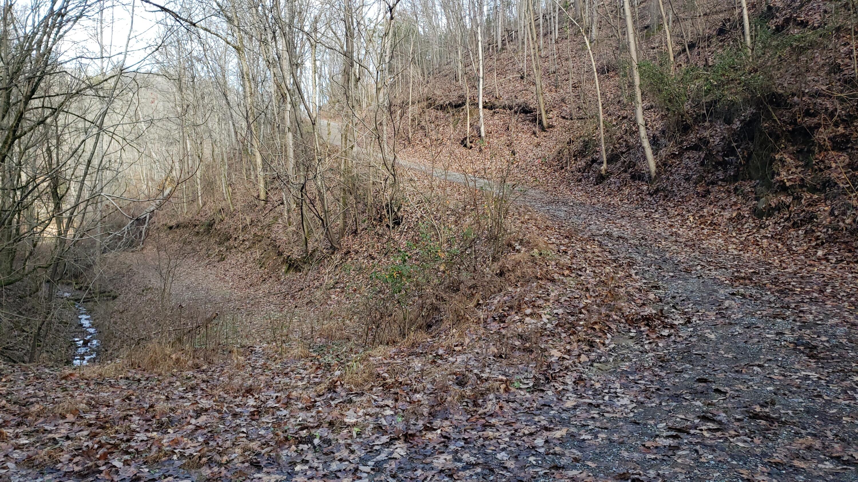 Pintaure Way Newport, TN 37821 - Photo 2 of 16 20200116_121225