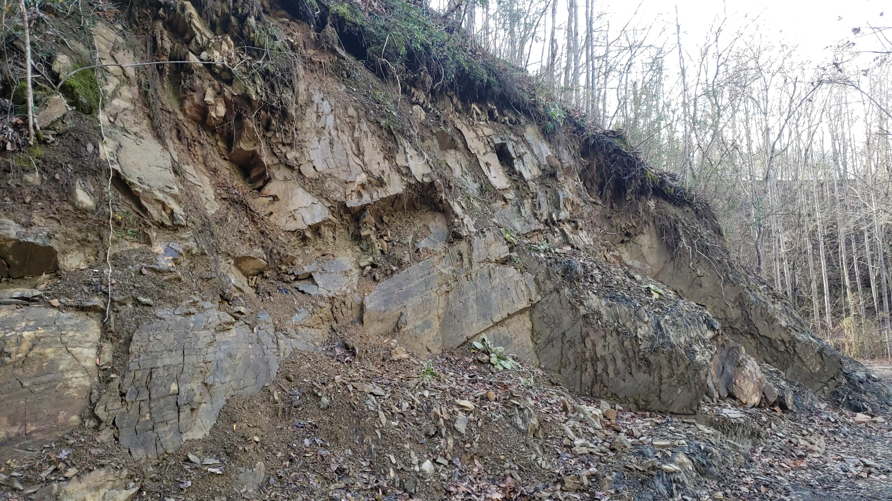 Pintaure Way Newport, TN 37821 - Photo 11 of 16 20200116_121758