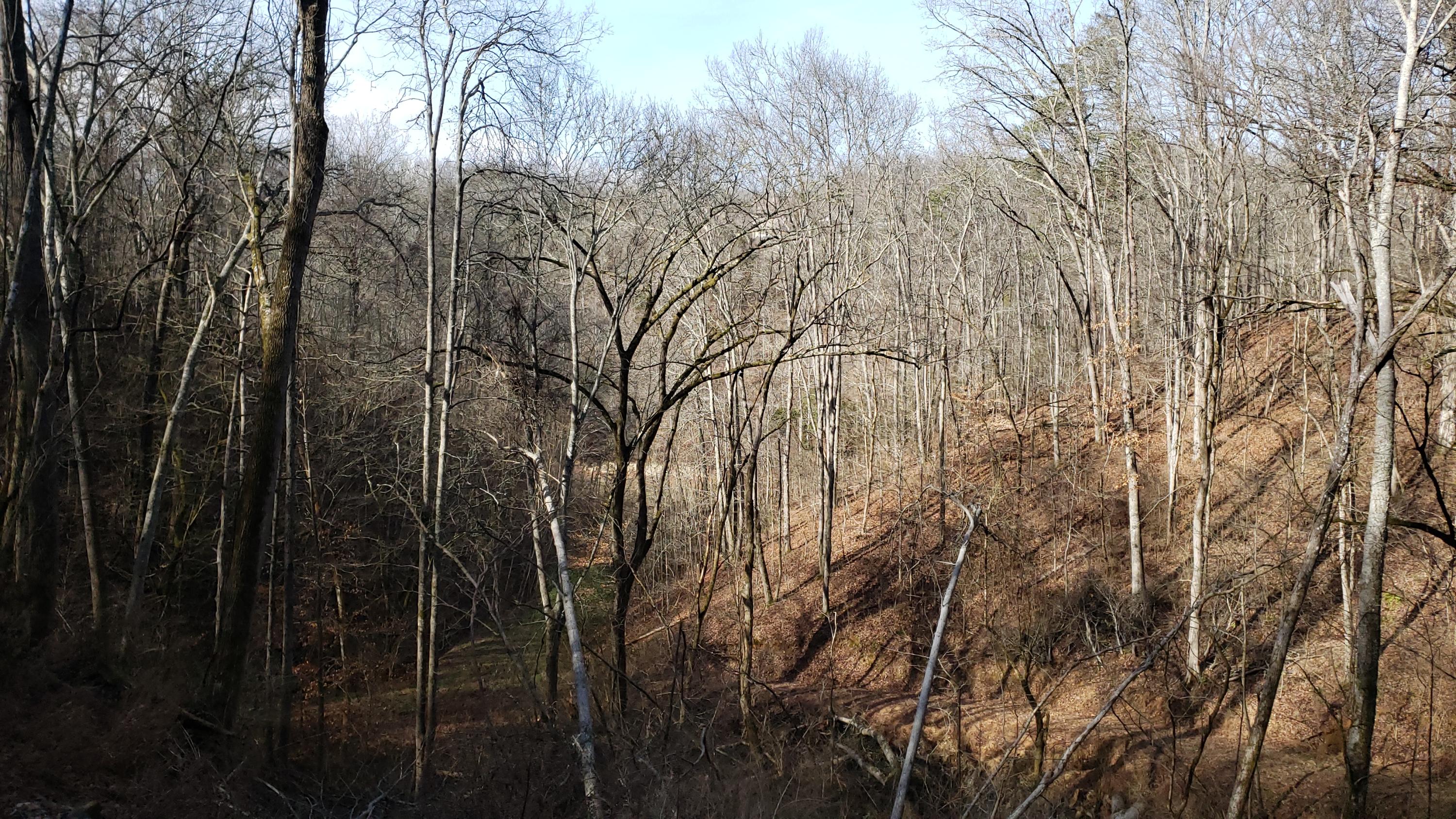 Pintaure Way Newport, TN 37821 - Photo 13 of 16 20200116_121813