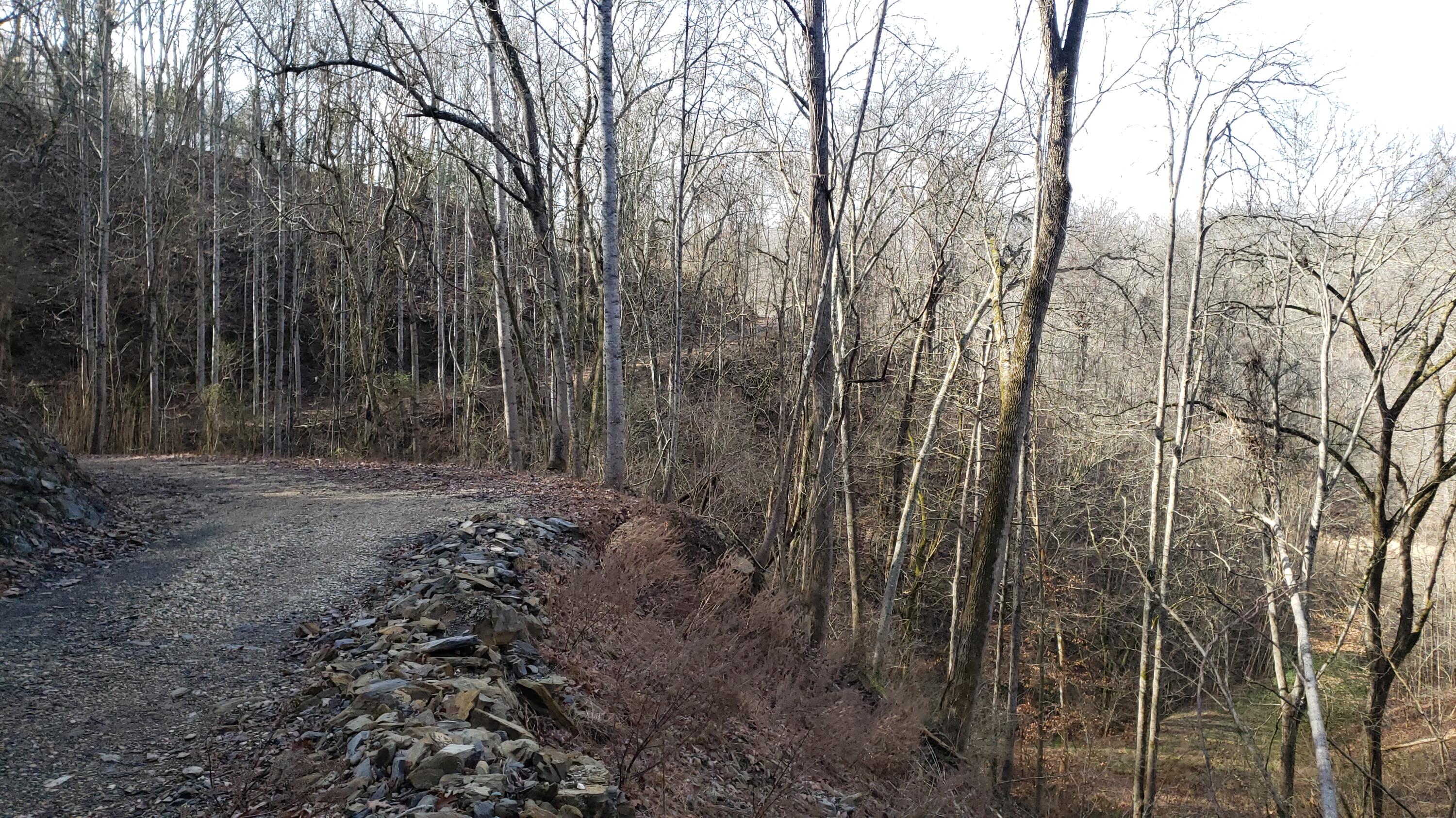 Pintaure Way Newport, TN 37821 - Photo 14 of 16 20200116_121818