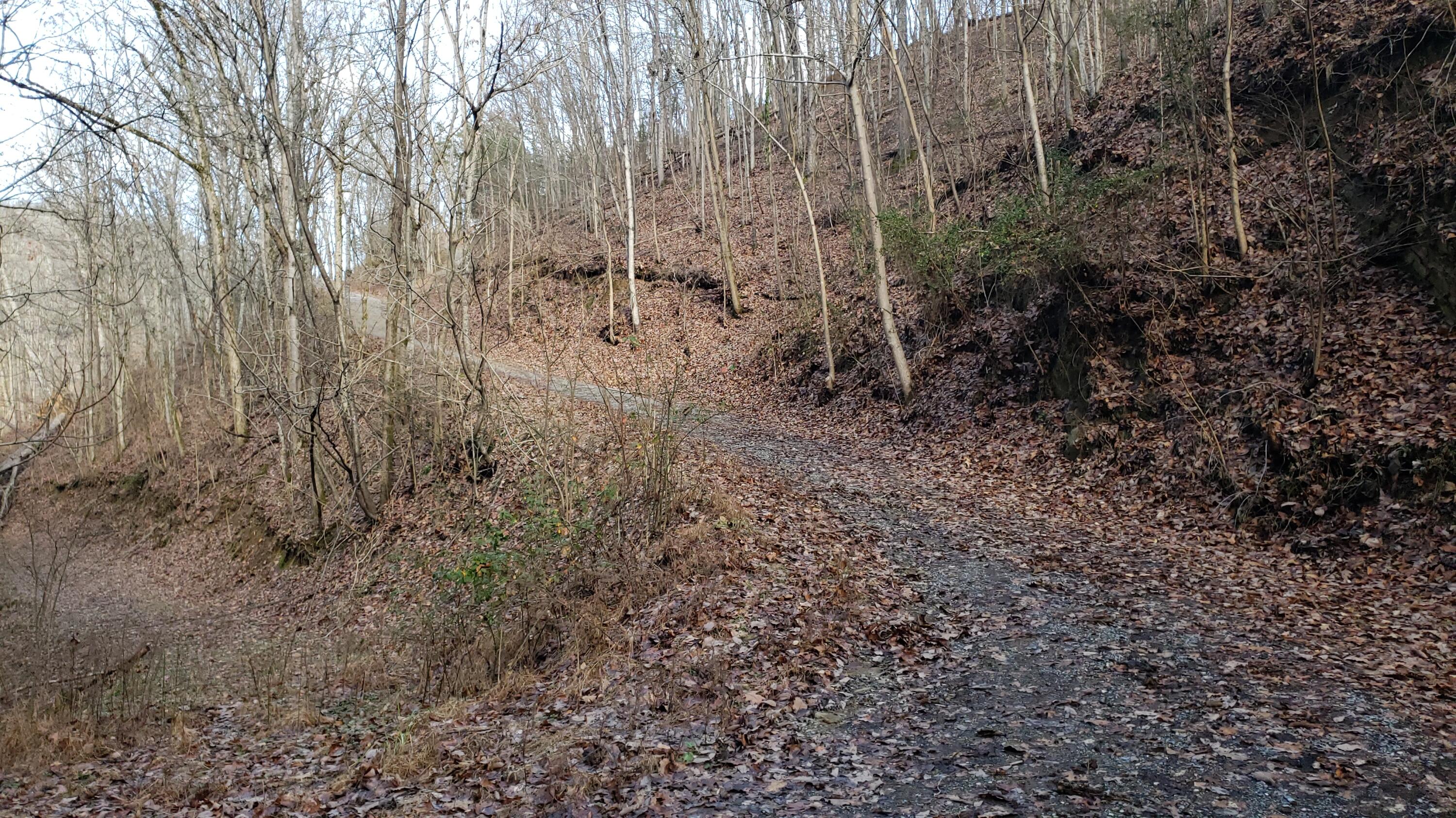 Pintaure Way Newport, TN 37821 - Photo 3 of 16 20200116_121229