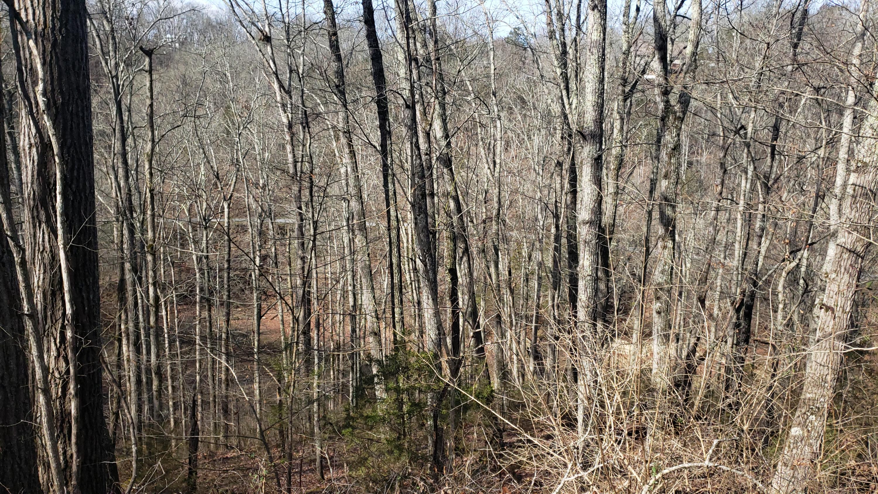 Pintaure Way Newport, TN 37821 - Photo 4 of 16 20200116_121419