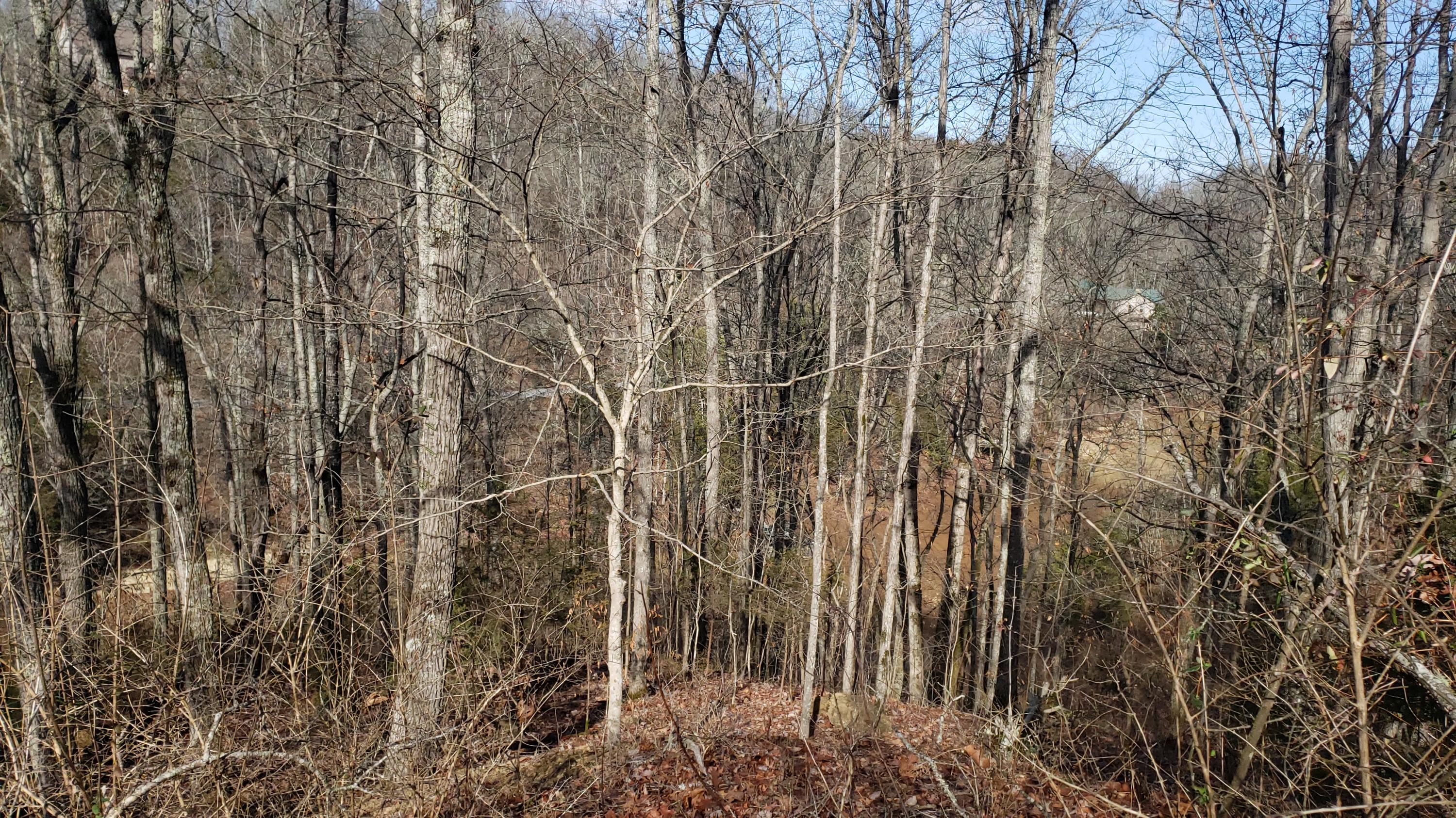 Pintaure Way Newport, TN 37821 - Photo 5 of 16 20200116_121426