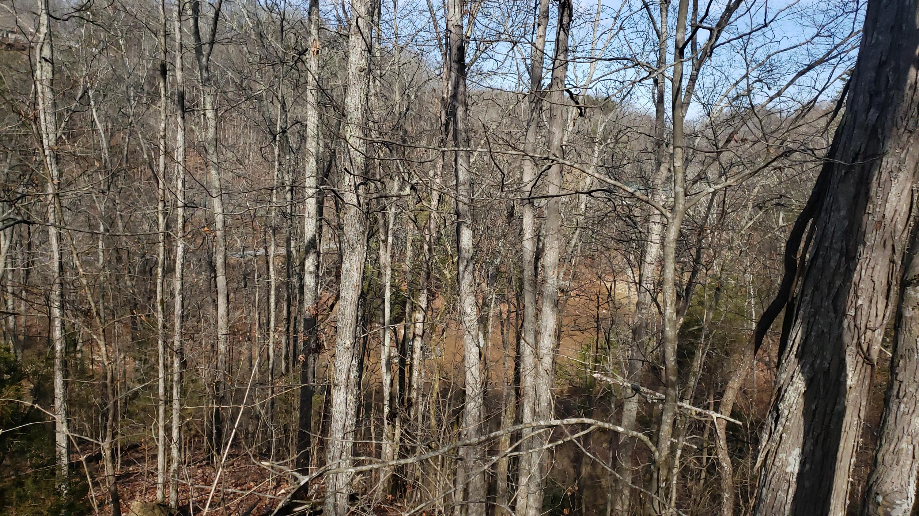 Pintaure Way Newport, TN 37821 - Photo 6 of 16 20200116_121445
