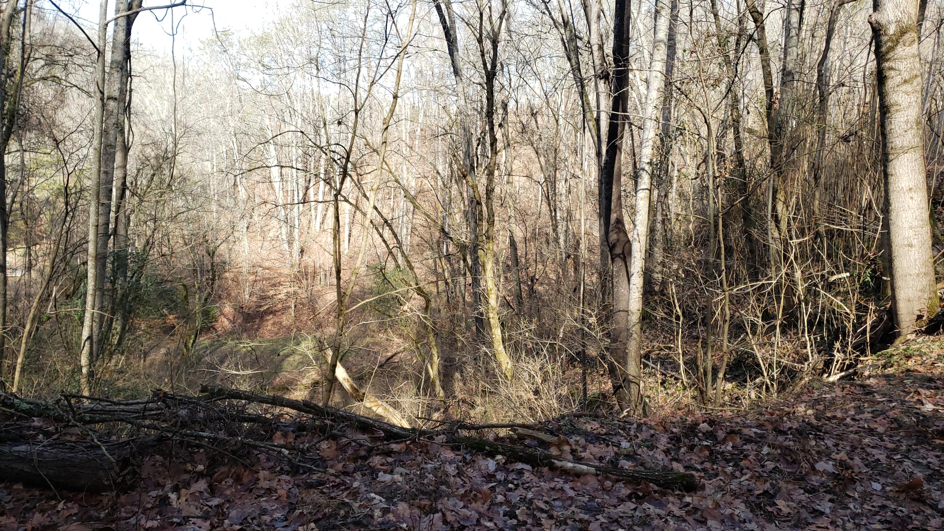 Pintaure Way Newport, TN 37821 - Photo 8 of 16 20200116_121650