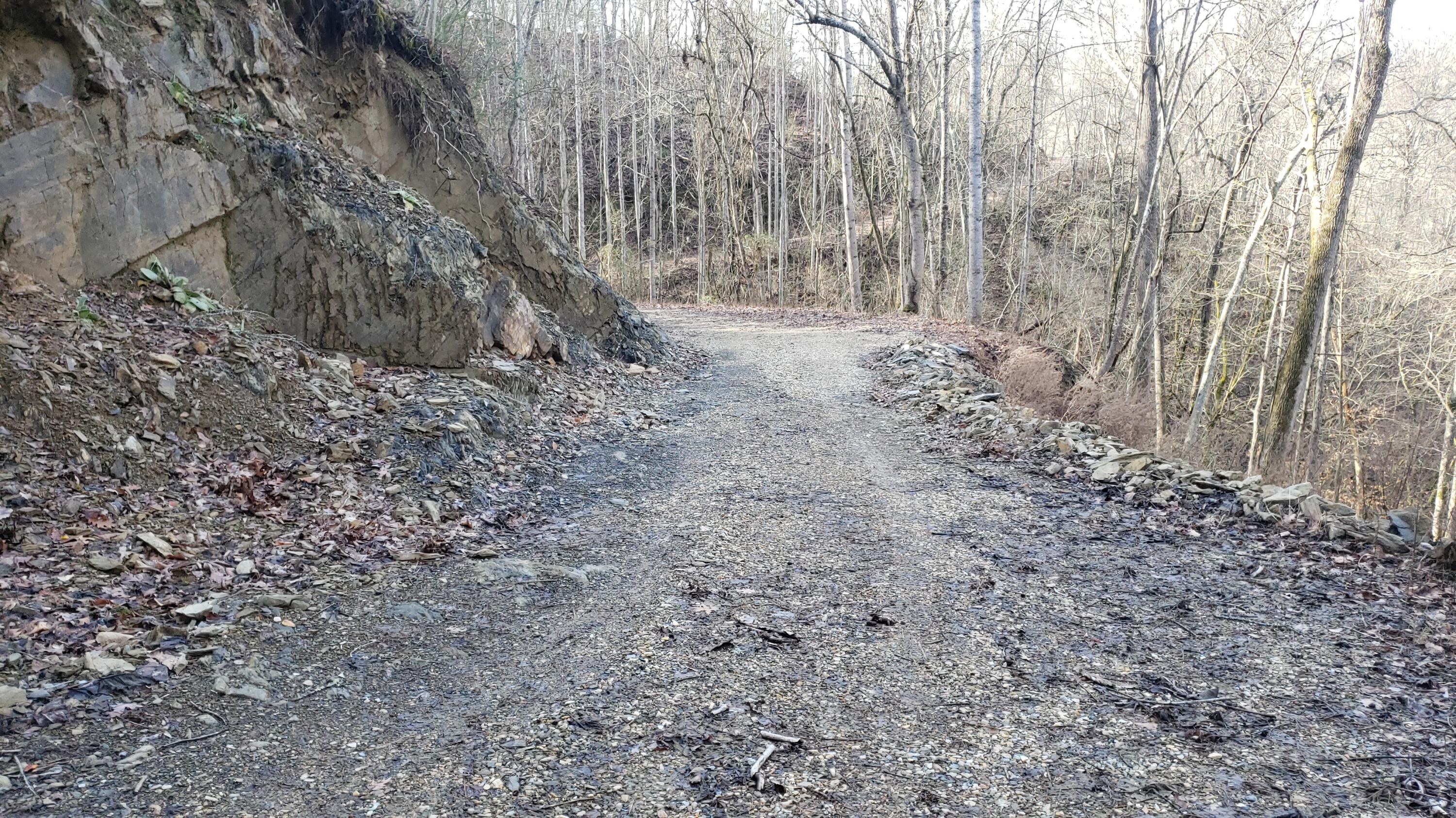 Pintaure Way Newport, TN 37821 - Photo 10 of 16 20200116_121749