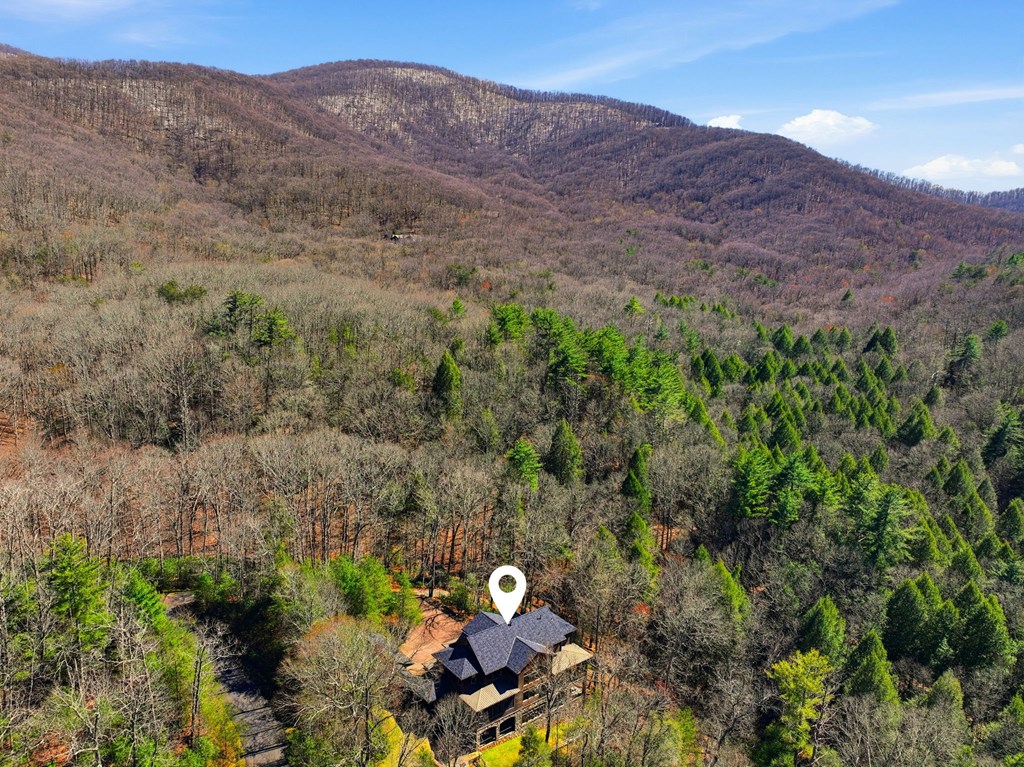 124 Wilderness Way Ellijay, GA 30536 - Photo 99 of 117