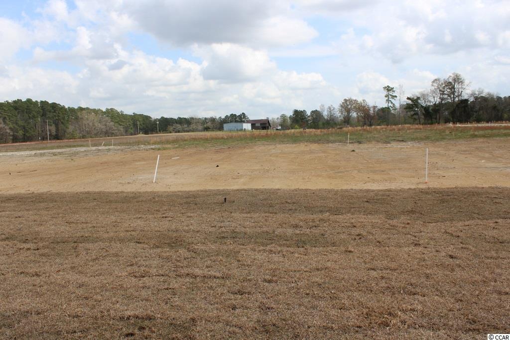 7805 Louisville Road Aynor, SC 29511 - Photo 20 of 30 Gallery Image 20