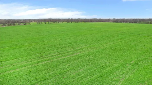 a view of a green field with clear sky