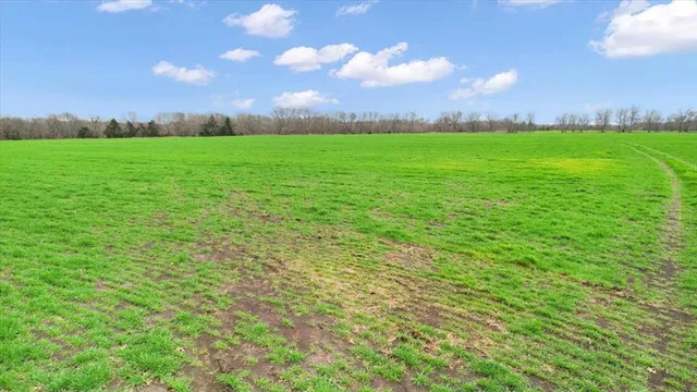 a view of an outdoor space and a yard