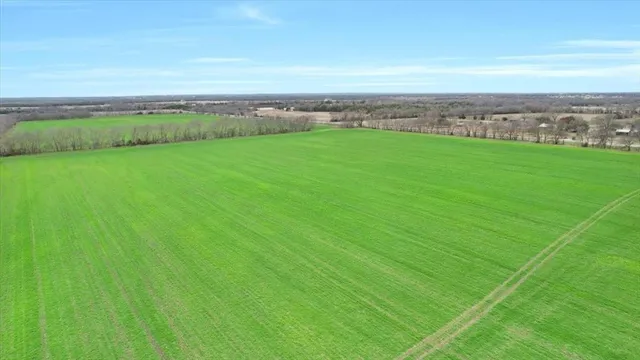 a view of a city with lush green forest