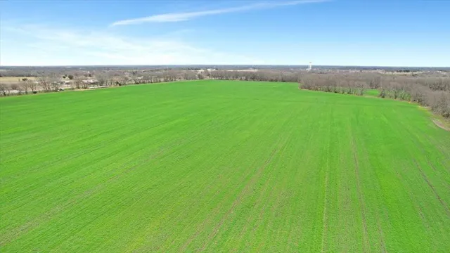 a view of a field with an ocean