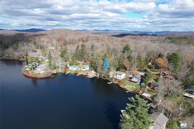 a view of a lake with boats and trees