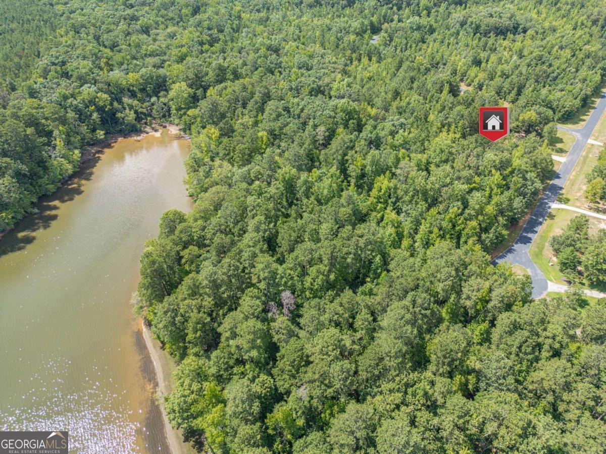 1021 Pointe Street South Tignall, GA 30668 - Photo 4 of 24 a view of a tree in a yard next to a body of water