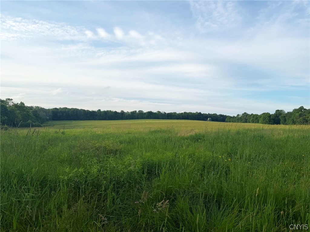 4891 Telephone Road Taylor, NY 13040 - Photo 27 of 42