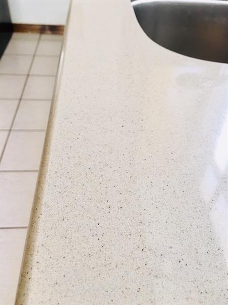 114 Maple Avenue Butler, PA 16001 - Photo 7 of 25 High end countertop in the kitchen.