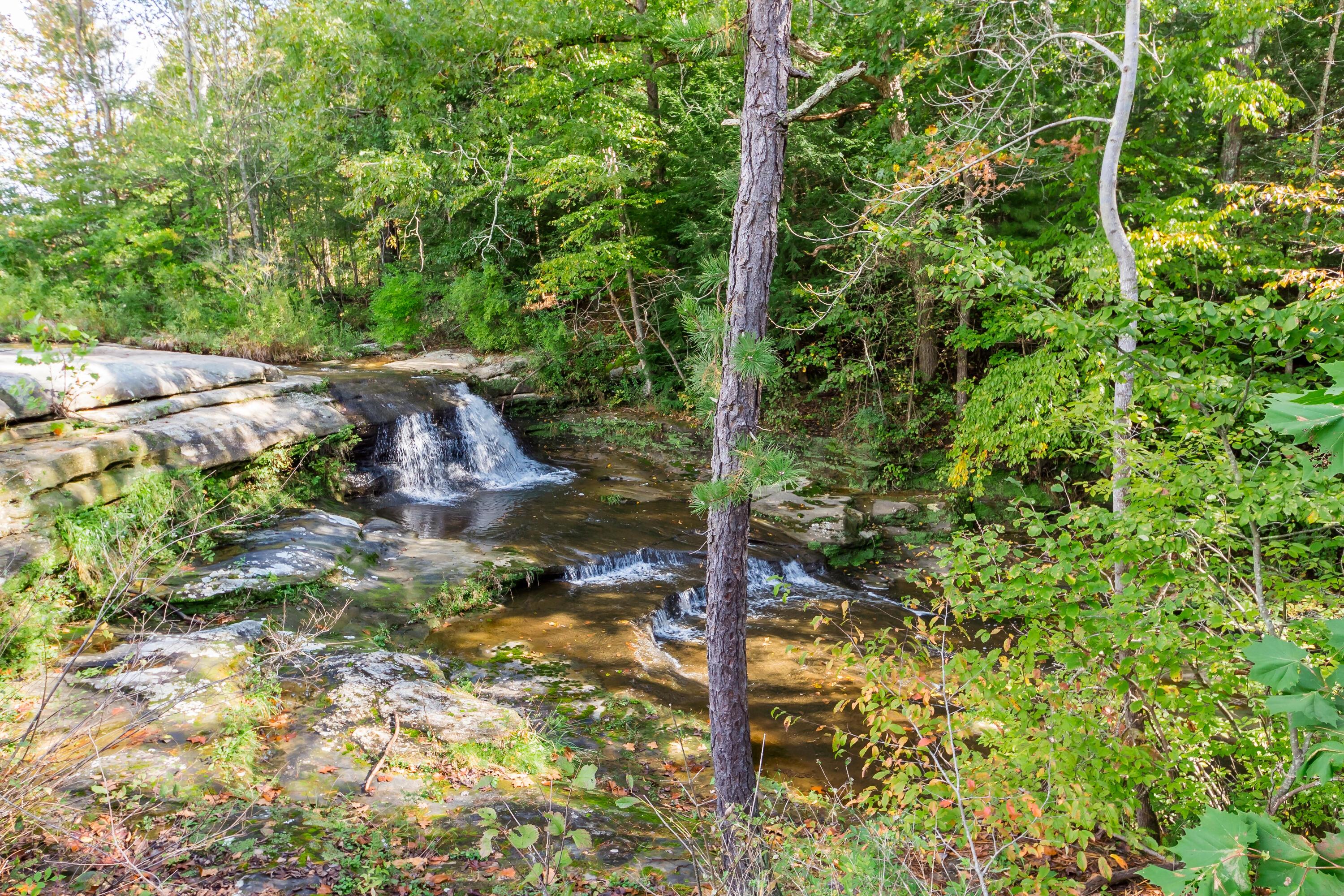19531 Kalklosch Road Logan, OH 43138 - Photo 34 of 36 Hocking Hills