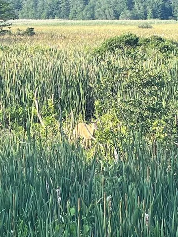 $469,900 | 26 Walnut Street, Unit C2, Old Orchard Beach, ME 04064